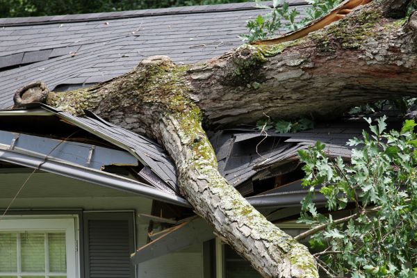 Cost of Storm Remediation in Redford
