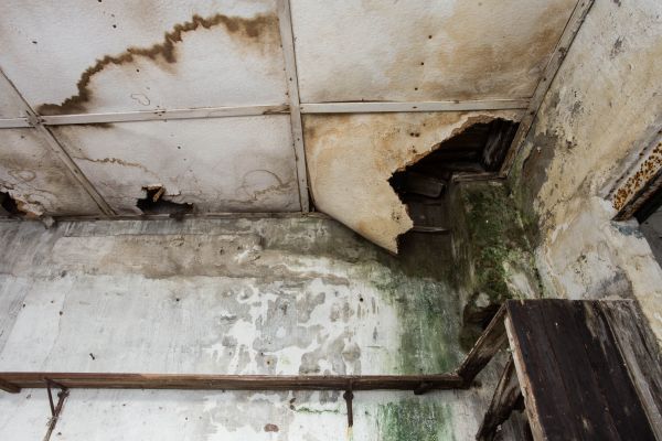 Water Damage Service in Redford