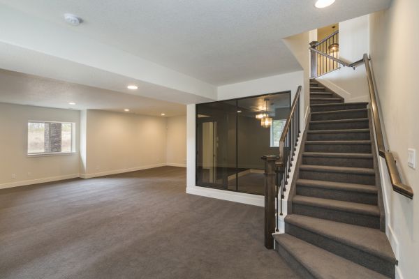 Basement Restoration Service in Redford