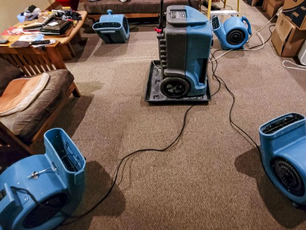 Cost of Flood Damage Recovery in Redford