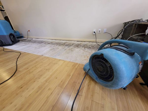 Cost of Water Damage Mitigation in Redford