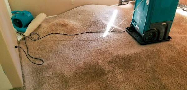 Flood Damage Cleanup in Redford