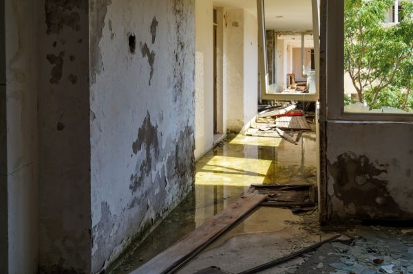 Water Removal Service in Redford