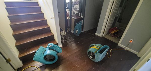Water Damage Remediation in Redford