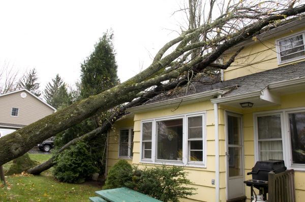 Hurricane Damage Repair in Redford