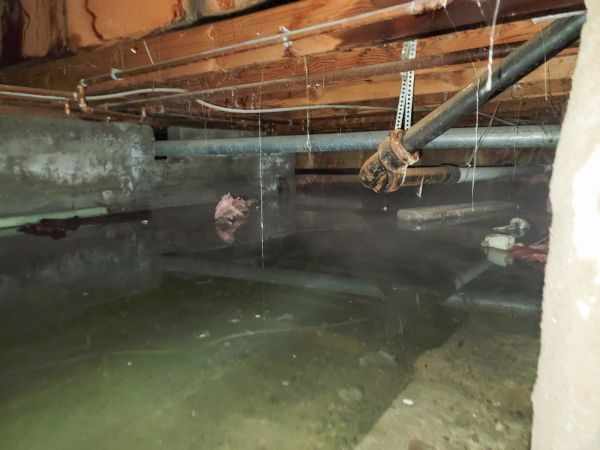 Crawlspace Water Restoration in Redford